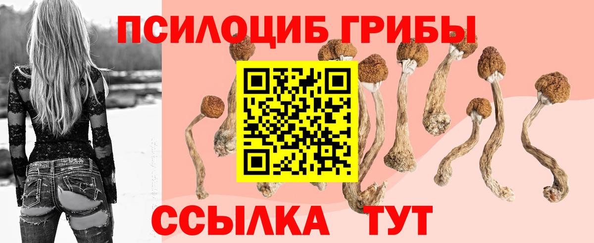 цены   Галлюциногенные грибы Psilocybe  Галлюциногенные грибы MAGIC MUSHROOMS  Вход с VPN  Абинск 